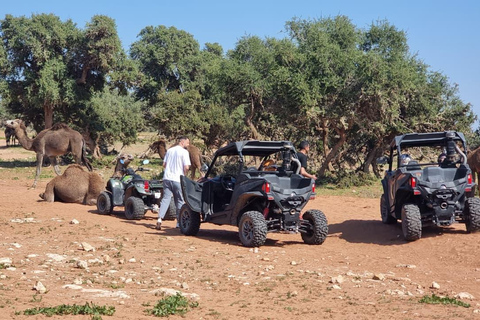 Agadir: Desert Buggy Safari with Hotel Pickup Private Desert Buggy Safari