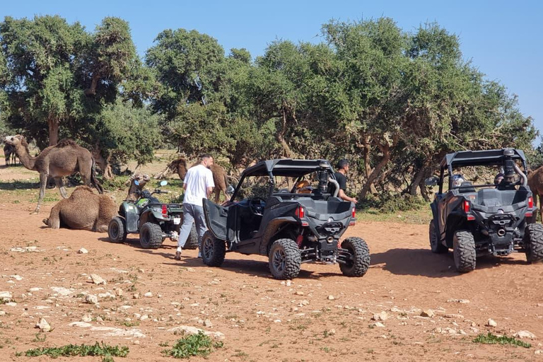 Agadir: Desert Buggy Safari with Hotel Pickup Private Desert Buggy Safari