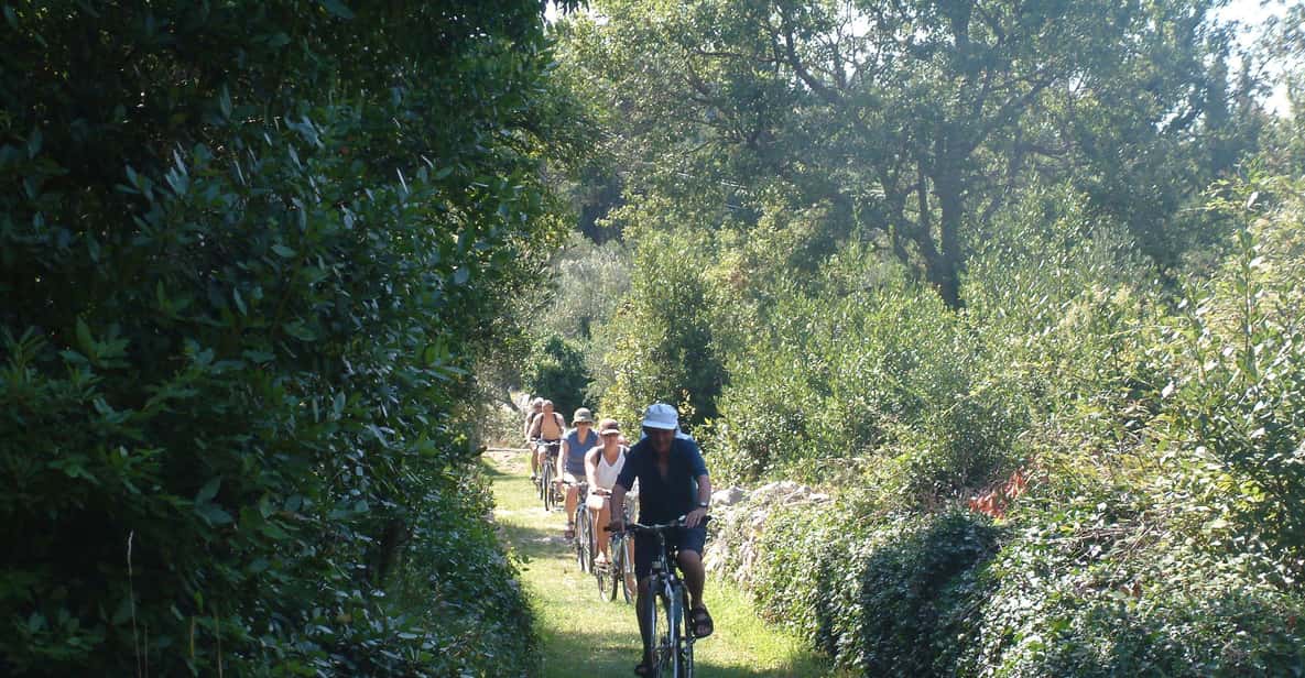 From Dubrovnik: 6-Hour Sipan Island Cycling Tour