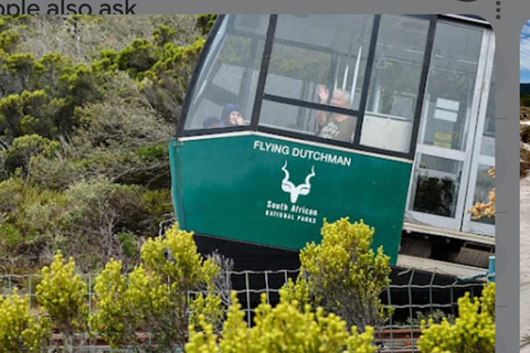 Le Cap:Nager avec les pingouins Boulders Beach cape point