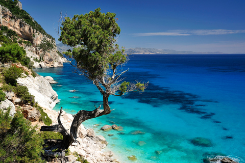 Santa Maria Navarrese: Full-Day Costa di Baunei Boat Tour