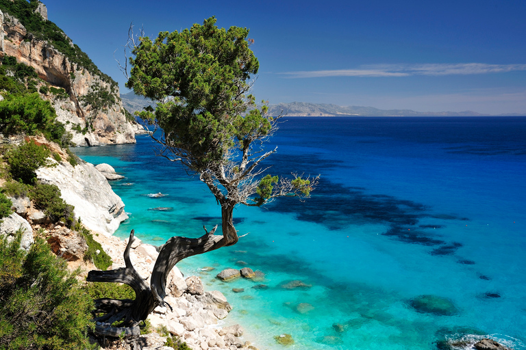 Santa Maria Navarrese: Full-Day Costa di Baunei Boat Tour
