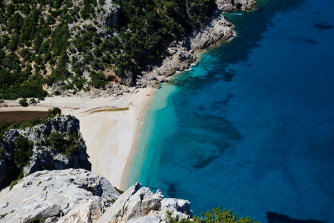 Santa Maria Navarrese: Full-Day Costa di Baunei Boat Tour