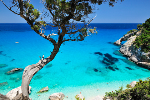 Santa Maria Navarrese: Full-Day Costa di Baunei Boat Tour