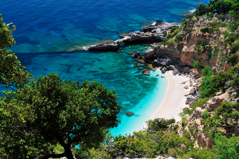 Santa Maria Navarrese: Full-Day Costa di Baunei Boat Tour