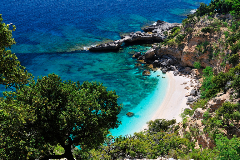 Santa Maria Navarrese: Full-Day Costa di Baunei Boat Tour
