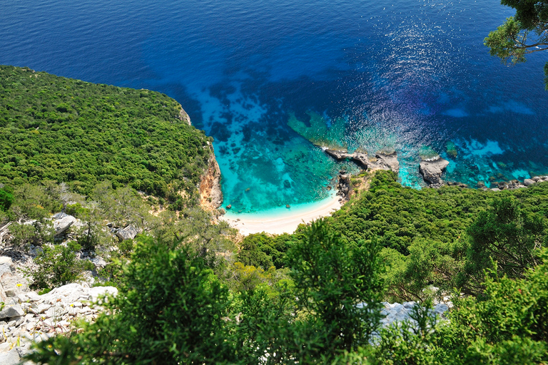 Santa Maria Navarrese: Full-Day Costa di Baunei Boat Tour