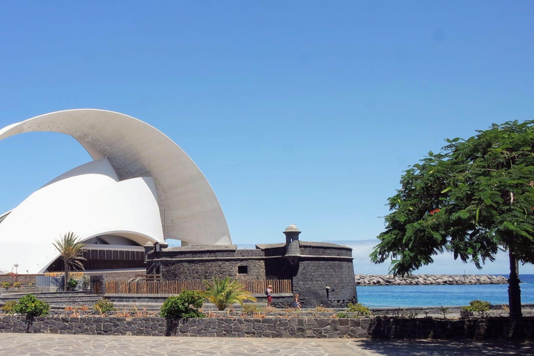 Santa Cruz: Paseo guiado por el casco antiguo - Lugares de interés y especiales