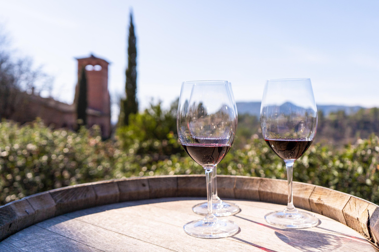 Barcelona: Montserrat, Winery Tour & Lunch with Wine Tasting