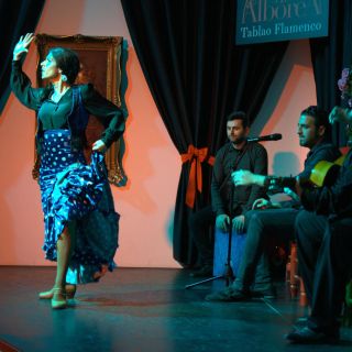Auténtico espectáculo flamenco de 1 hora en Granada