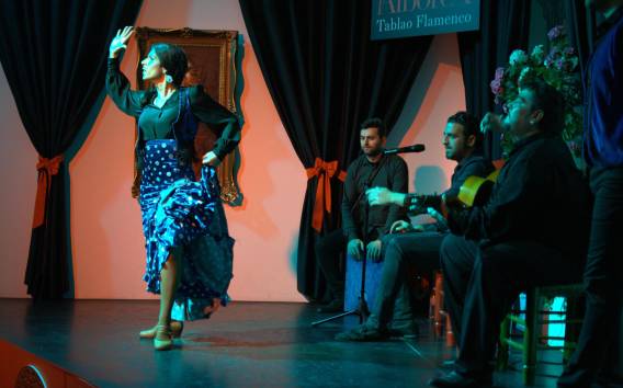 Authentische Flamenco Show in Granada