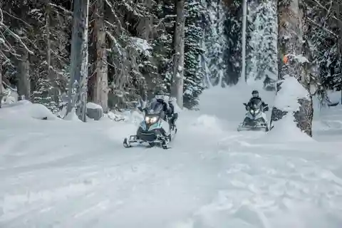 Von Jackson: Yellowstone Grand Canyon Snowmobile Tour