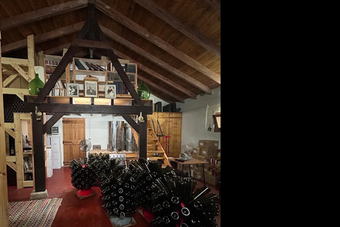 科孚岛：酒庄游览和品尝