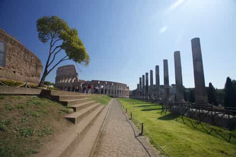 Rome: 1-Hour Ultimate Colosseum Tour