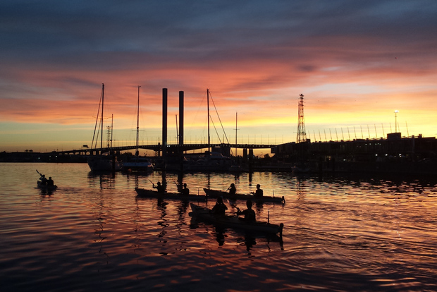 Melbourne: tour in kayak al tramonto con cena