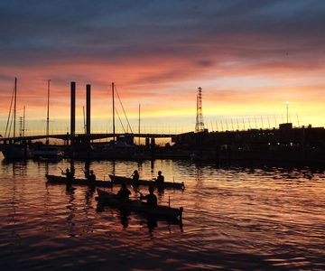 Melbourne: Sunset Kayak Tour with Dinner