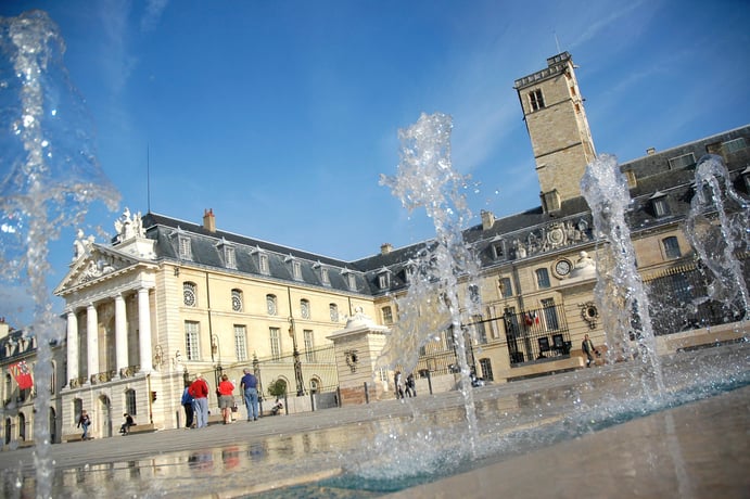 Dijon: City Tour with a French-speaking Guide