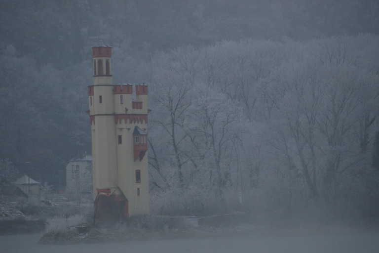 Rüdesheim am Rhein: Kerstboottocht over de Rijn