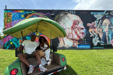 Miami: Graffiti & Street Art Tour in Wynwood Wynwood Graffiti’s Private Tour 2h