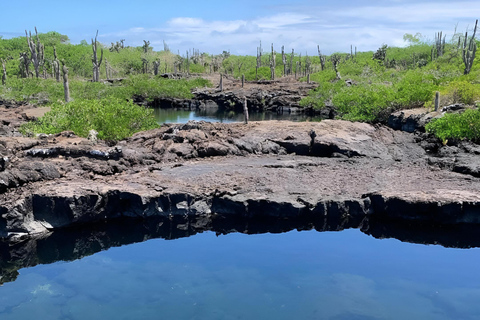 Explora Túneles Cabo Rosa em Isabela: Dia inteiro com Snorkel