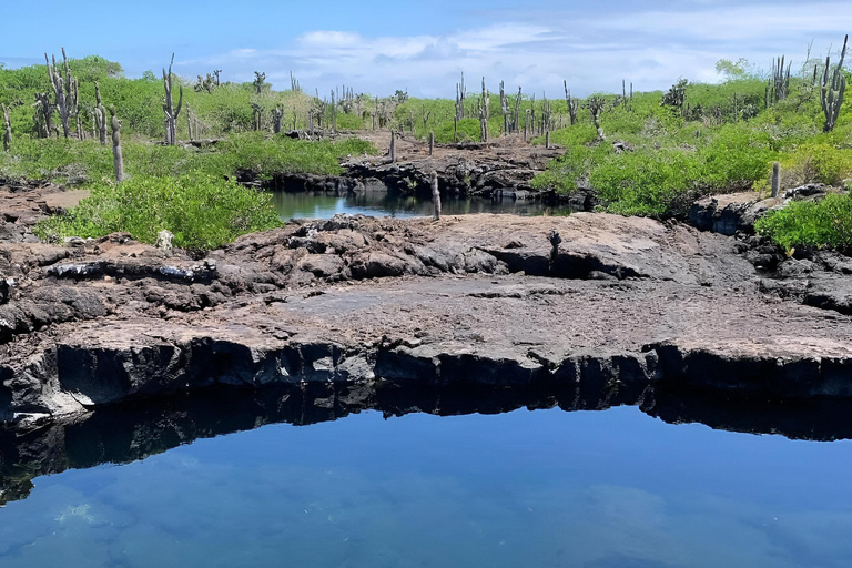 Explora Túneles Cabo Rosa en Isabela : Journée complète avec plongée en apnée