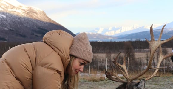 Reindeer Feeding and Sami Culture with Lunch in Autumn