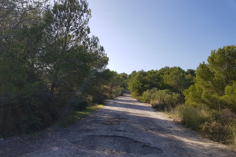 Mallorca: tour en mini jeep desde Cala MillorTour de 3 horas