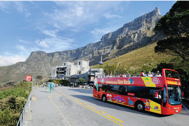 Cape Town: Hop-On Hop-Off Bus Tour with Optional Cruise 1-Day Hop-On Hop-Off Bus Ticket