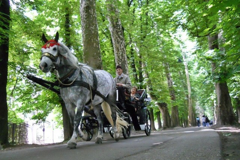 Private Tour von Sarajevo: Naturpark Vrelo BosneStandardoption