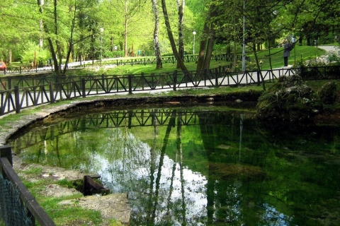 Visite privée de Sarajevo: Parc naturel Vrelo BosneOption standard