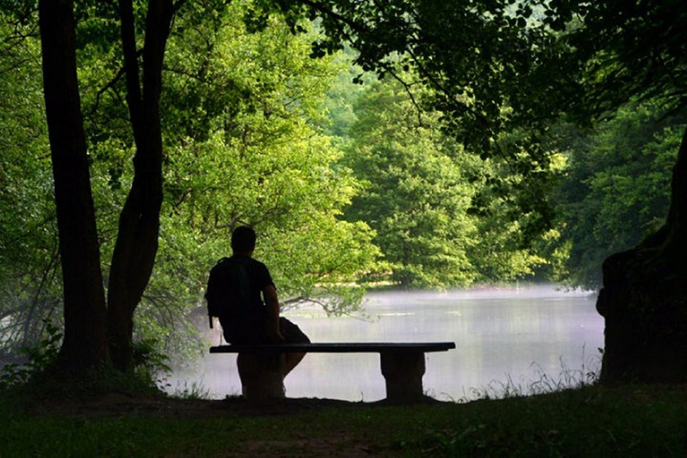 Tour privato da Sarajevo: Parco Naturale di Vrelo BosneOpzione standard