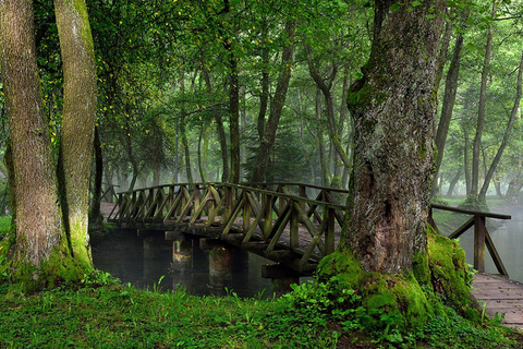 Tour privado desde Sarajevo: Parque Natural de Vrelo BosneOpción Estándar