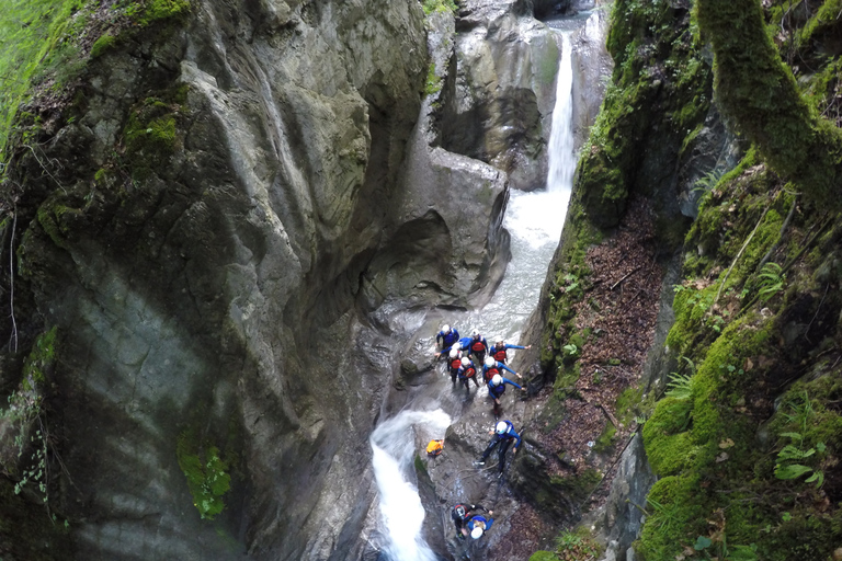 Från Luzern: Canyoning i Interlaken med returtransfer