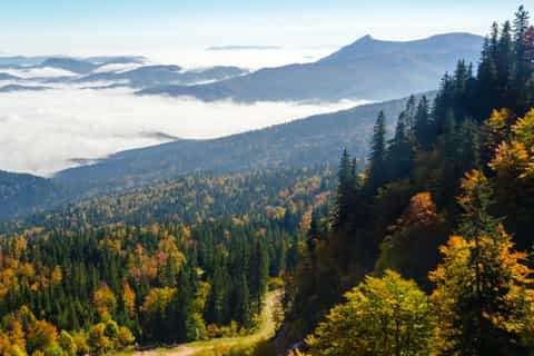 Private tour from Sarajevo: Olympic Mountains