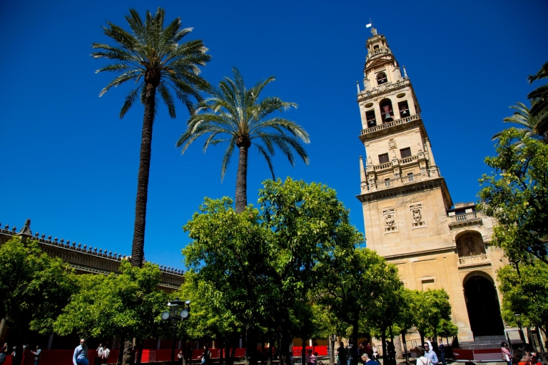Cordoba: Mosque-Cathedral & Jewish Quarter Private Group