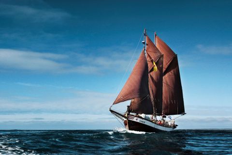 Ab Húsavík: Whale Watching auf einem hölzernen Segelschiff