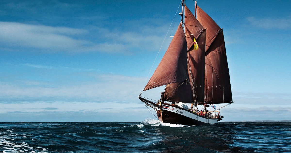 Парусные пароходы. Hoist the Sails meaning.