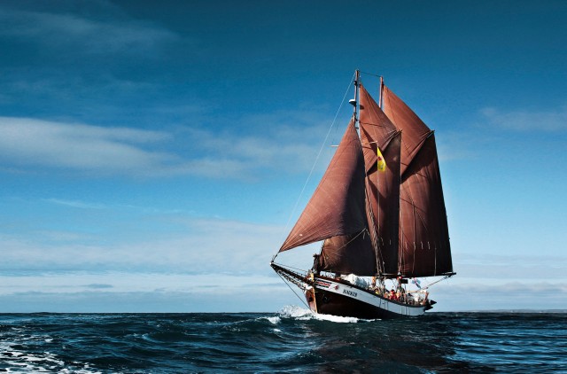Húsavík: walvissen spotten met een traditioneel houten zeilschip