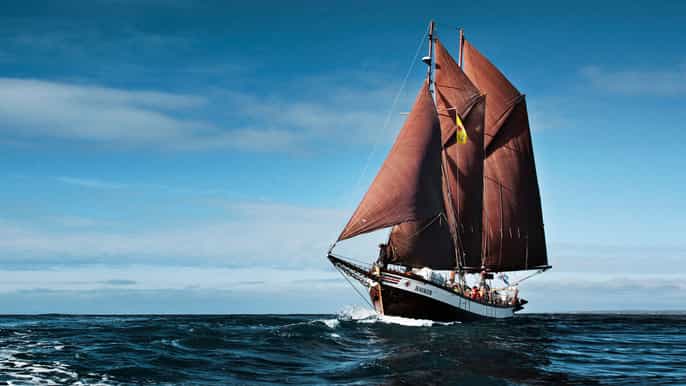 húsavík whale watching by traditional wooden sailing ship