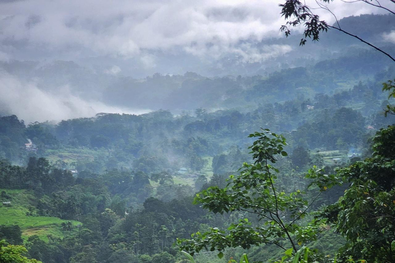 康提：兰博达瀑布和普纳瀑布，以及安布鲁瓦瓦天空塔日落康提：兰博达瀑布和普纳瀑布，以及安布卢瓦瓦天空塔日落之旅