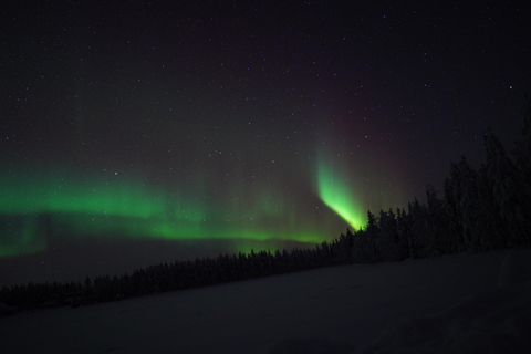 Northern Lights Rovaniemi Guaranteed & Unlimited KM Hunting