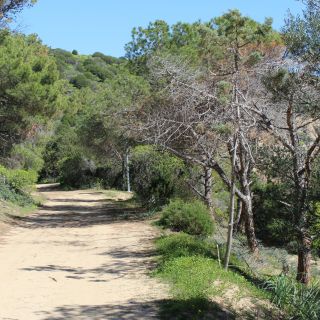 From Chia: Private Half-Day Ancient Roman Road Hiking Tour