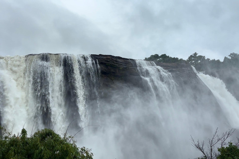 Kochi: Athirappilly Waterfalls Overnight Tour with Transfer