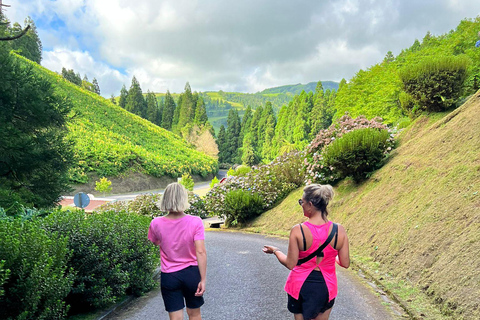 Incroyable vallée de Furnas, excursion d&#039;une journée.