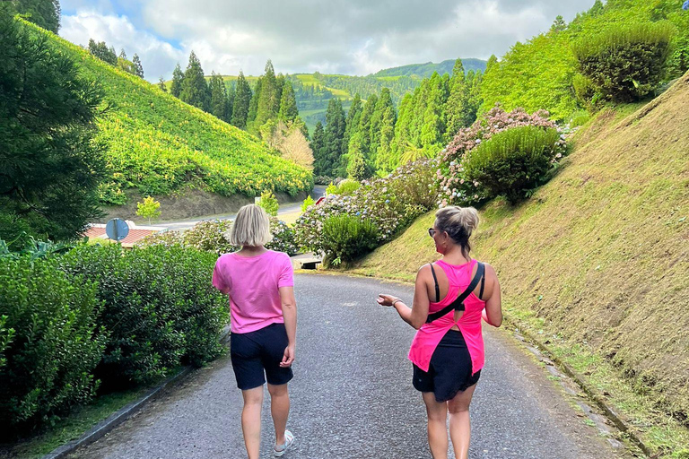 Incroyable vallée de Furnas, excursion d&#039;une journée.