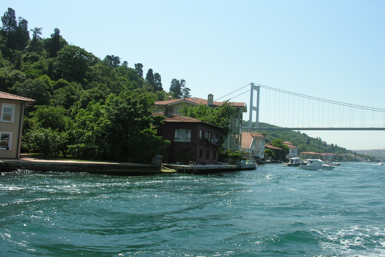 Istanbul: Bosphorus Boat Tour with Local Guide