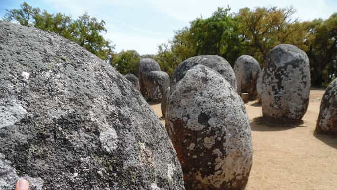 desde lisboa Évora cork woods y almendres day tour