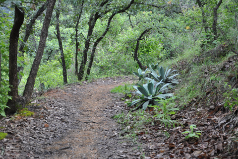 Senderismo en el parque Nacional Benito Juárez