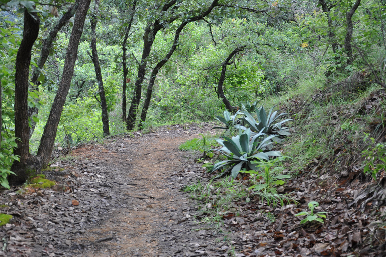 Senderismo en el parque Nacional Benito Juárez