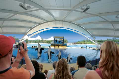 Ab Maspalomas: Tagestour Teneriffa und Zoo Loro Parque